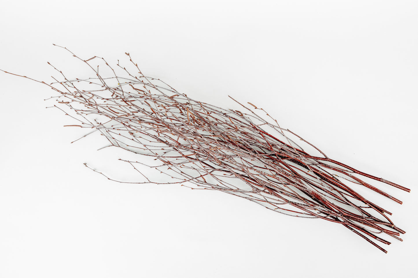 Birch Branches