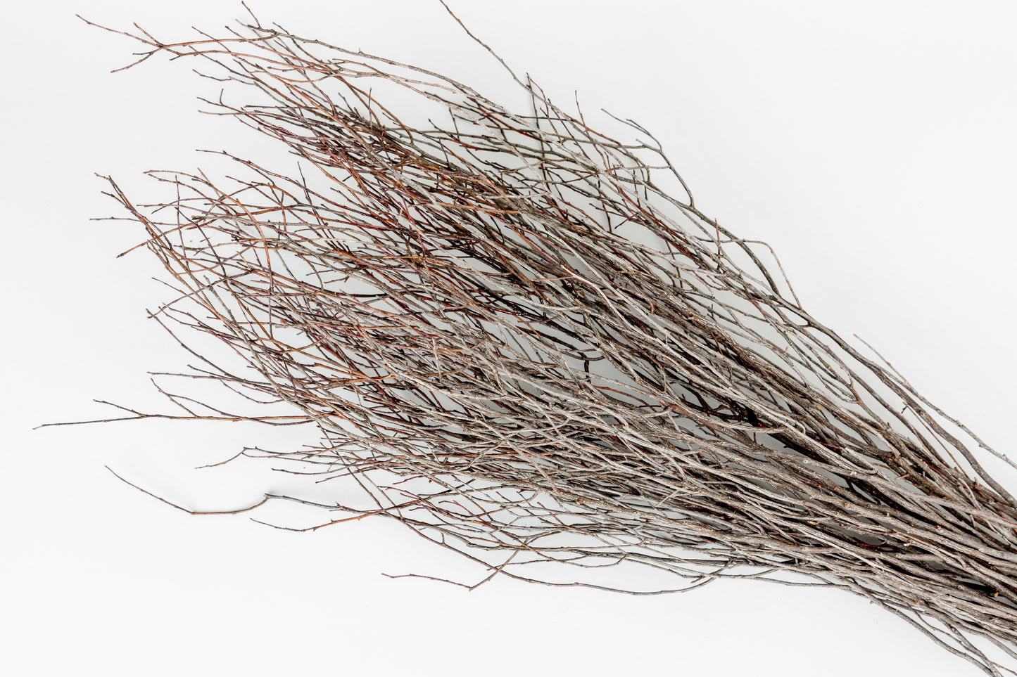 Birch Branches