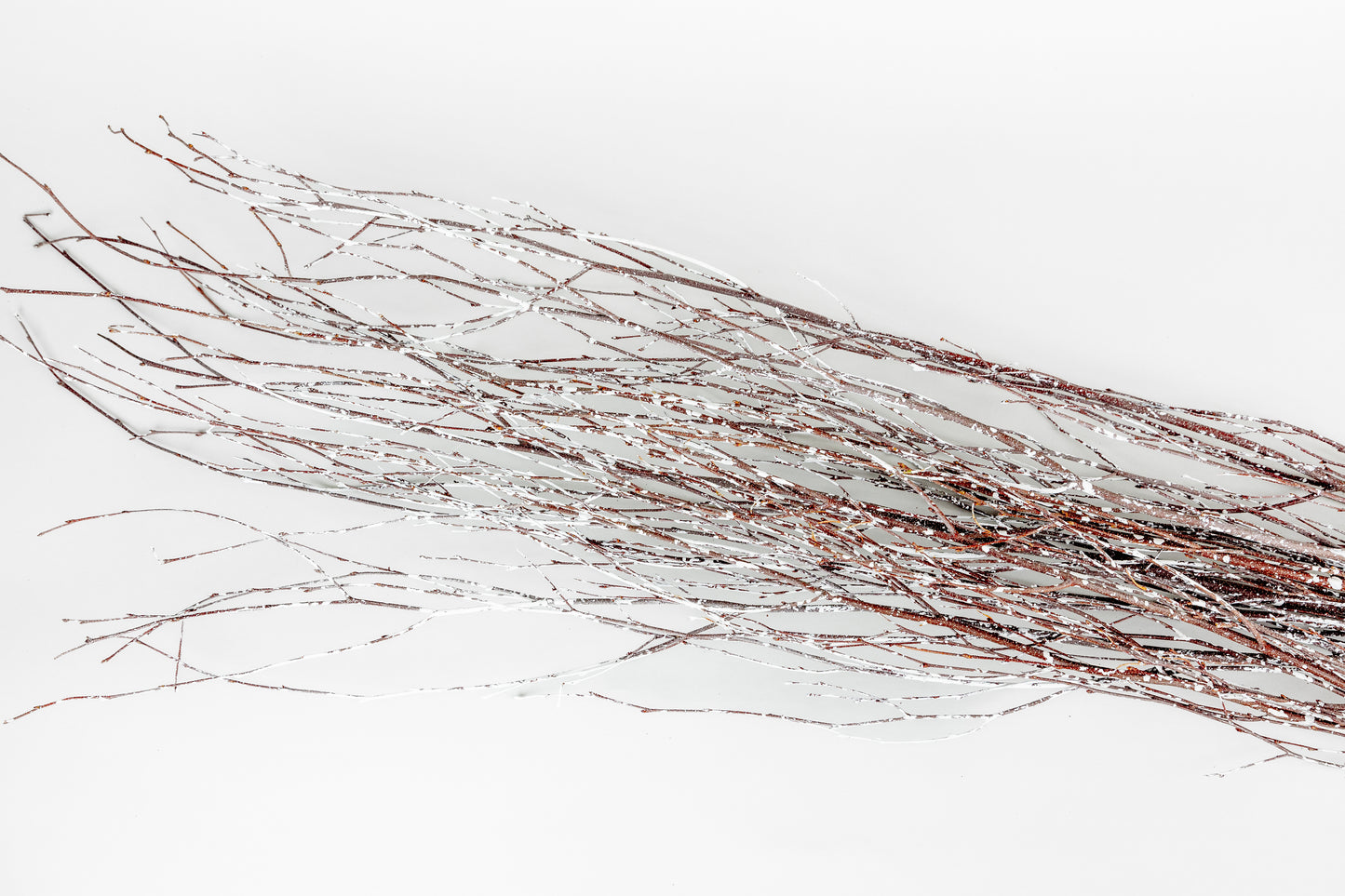Birch Branches