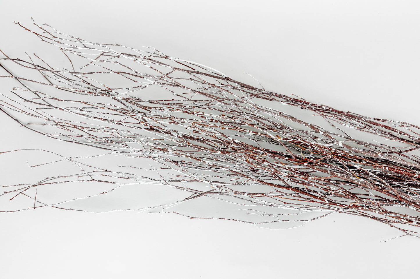 Birch Branches