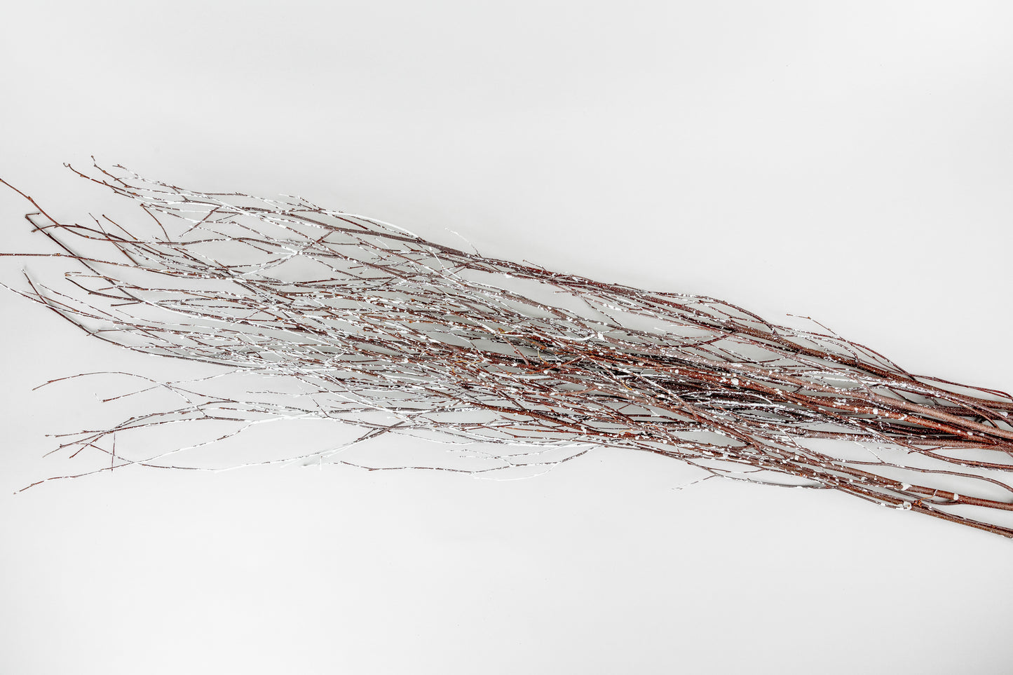 Birch Branches