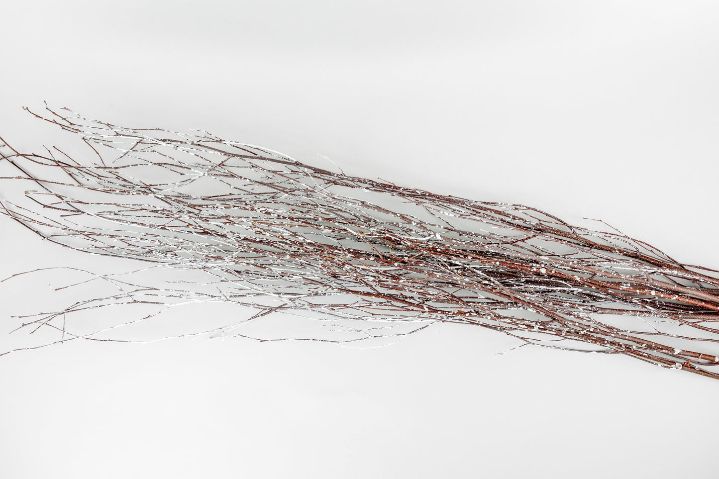 Birch Branches