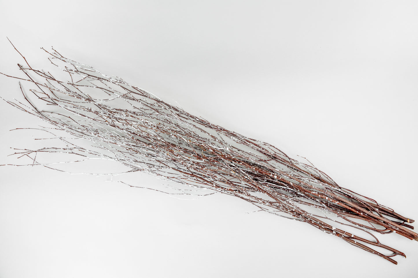 Birch Branches