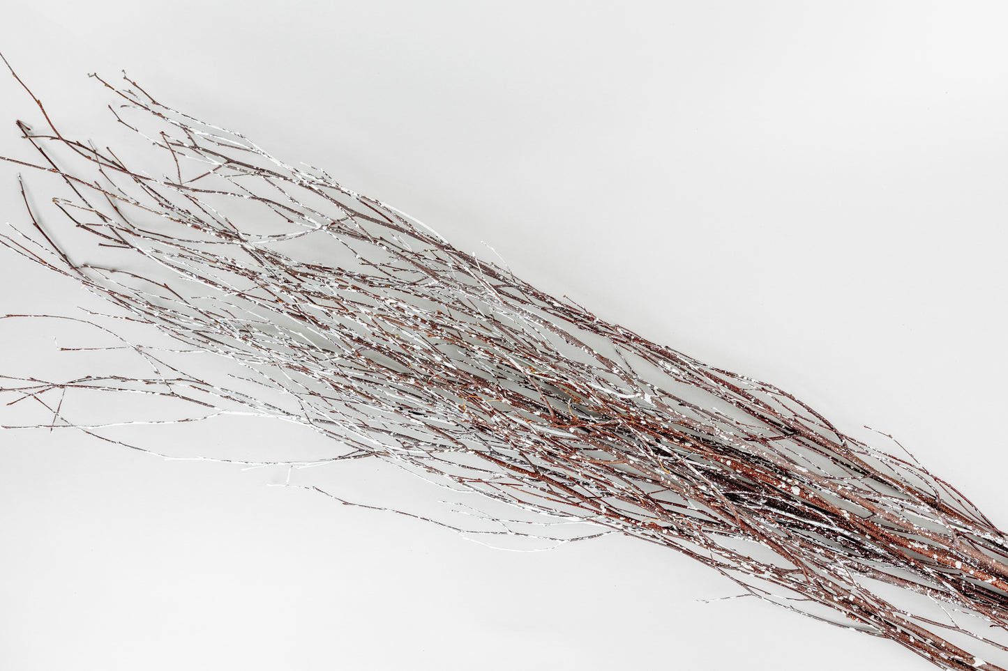 Birch Branches