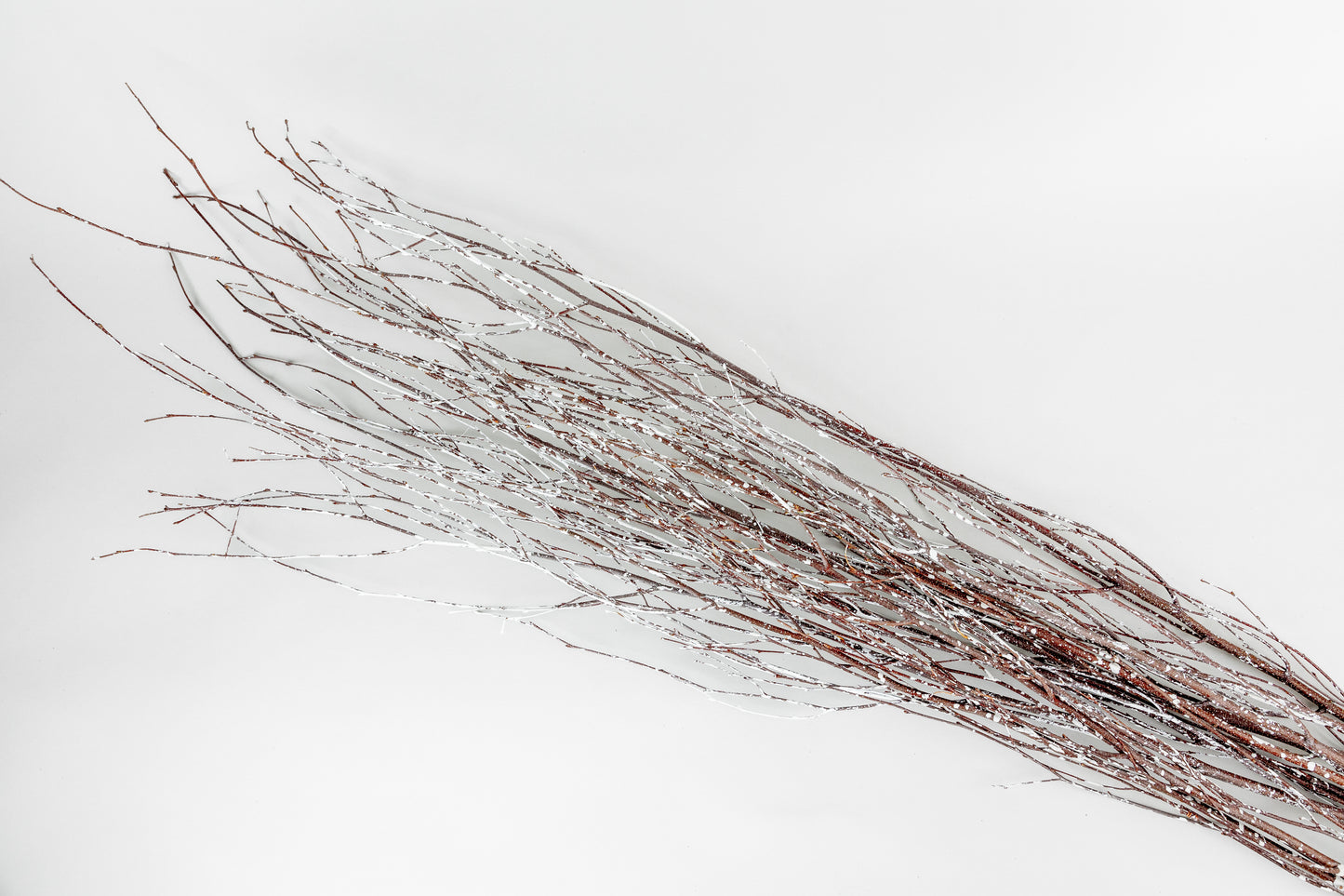 Birch Branches