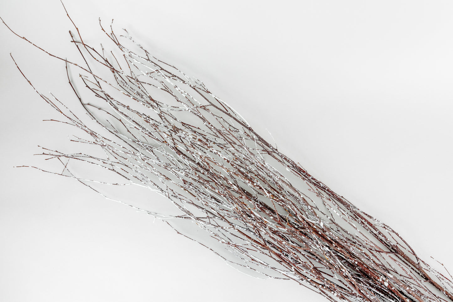 Birch Branches