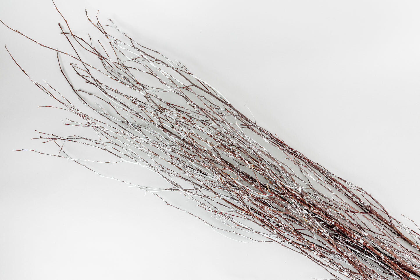 Birch Branches