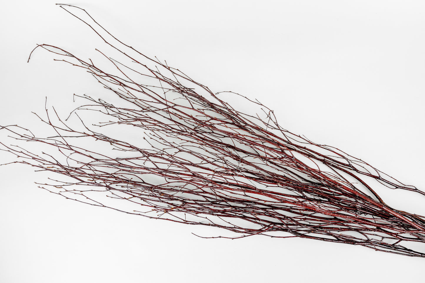 Birch Branches