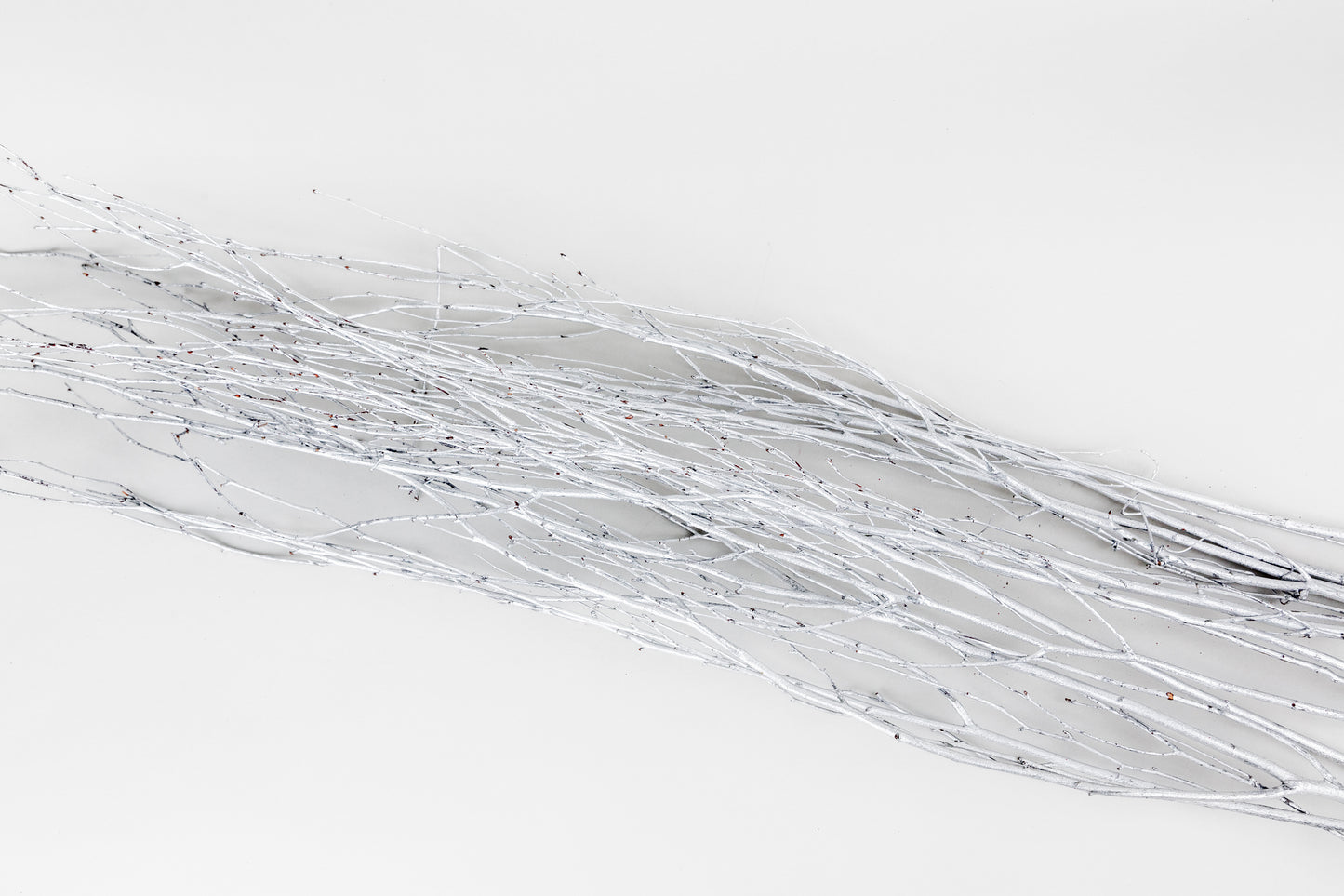 Birch Branches