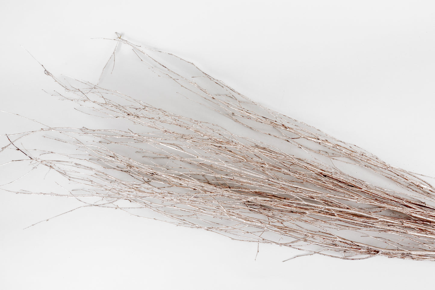Birch Branches