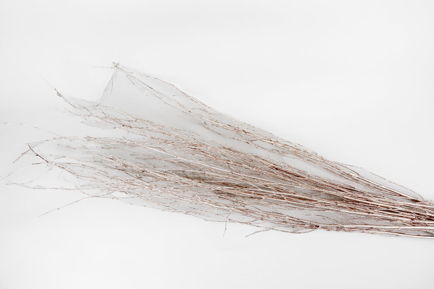 Birch Branches