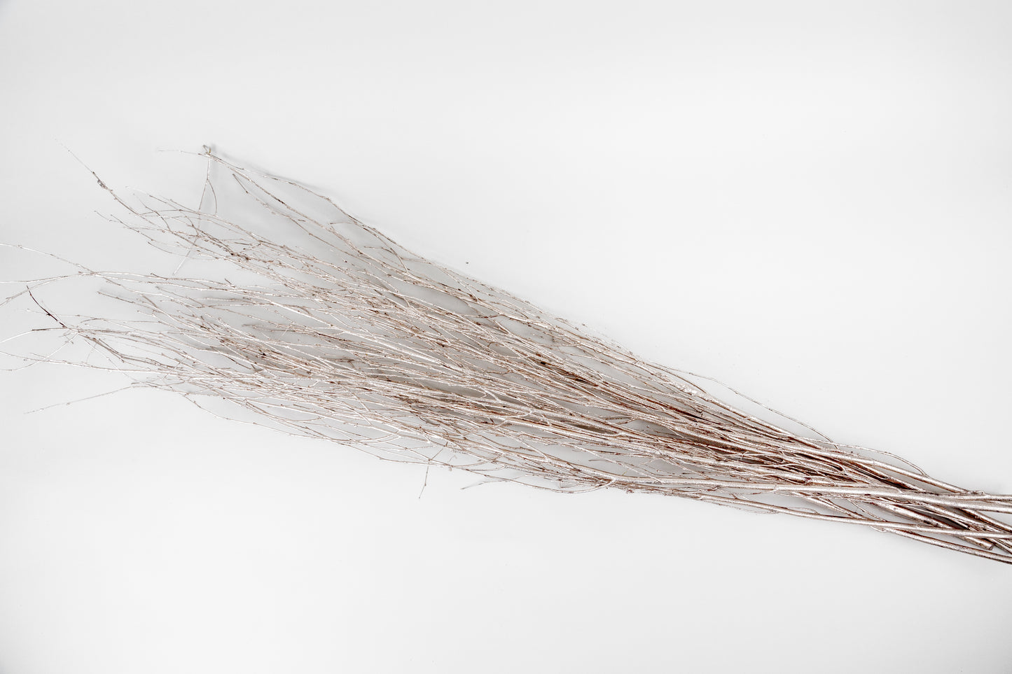 Birch Branches
