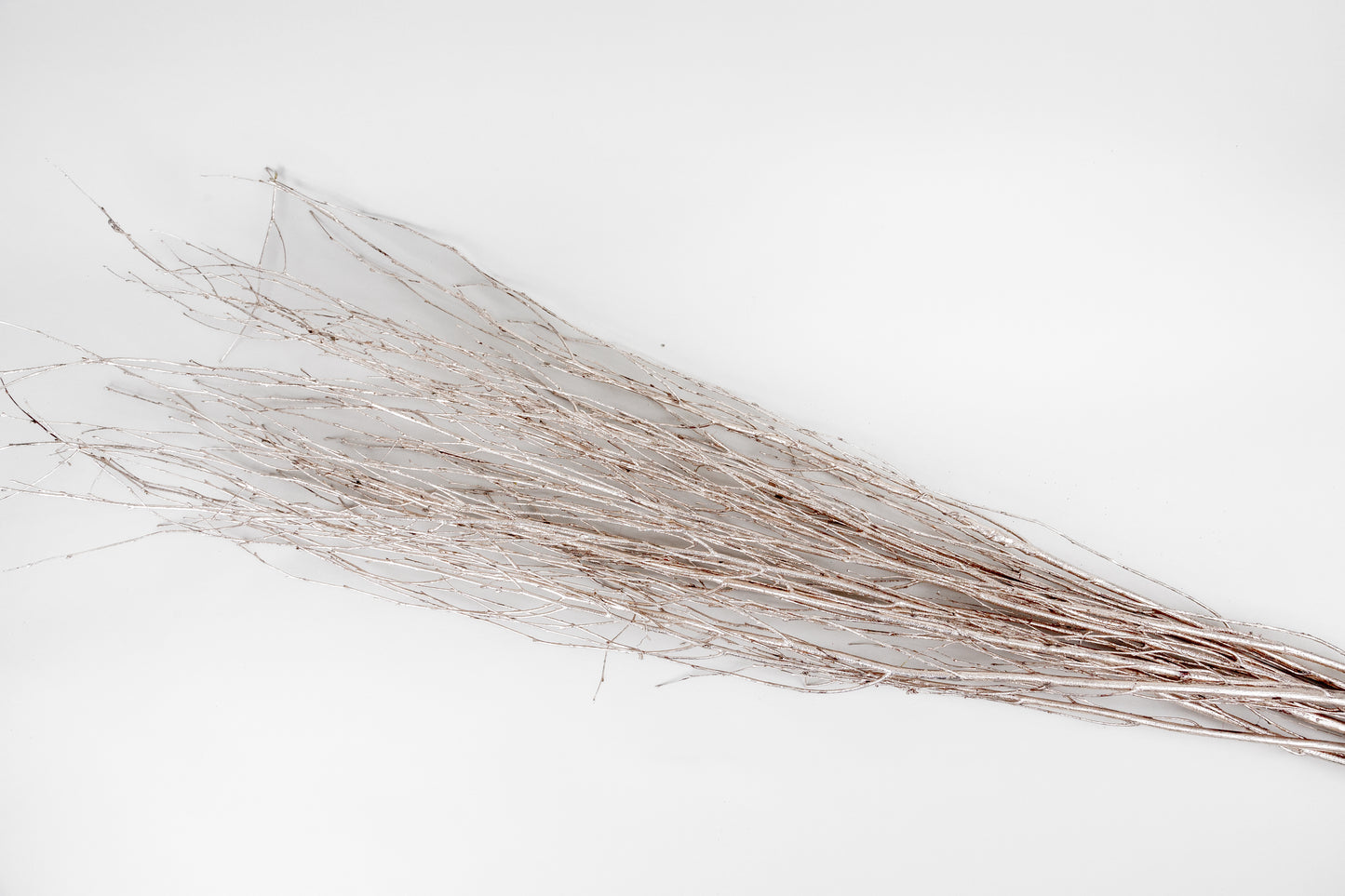 Birch Branches