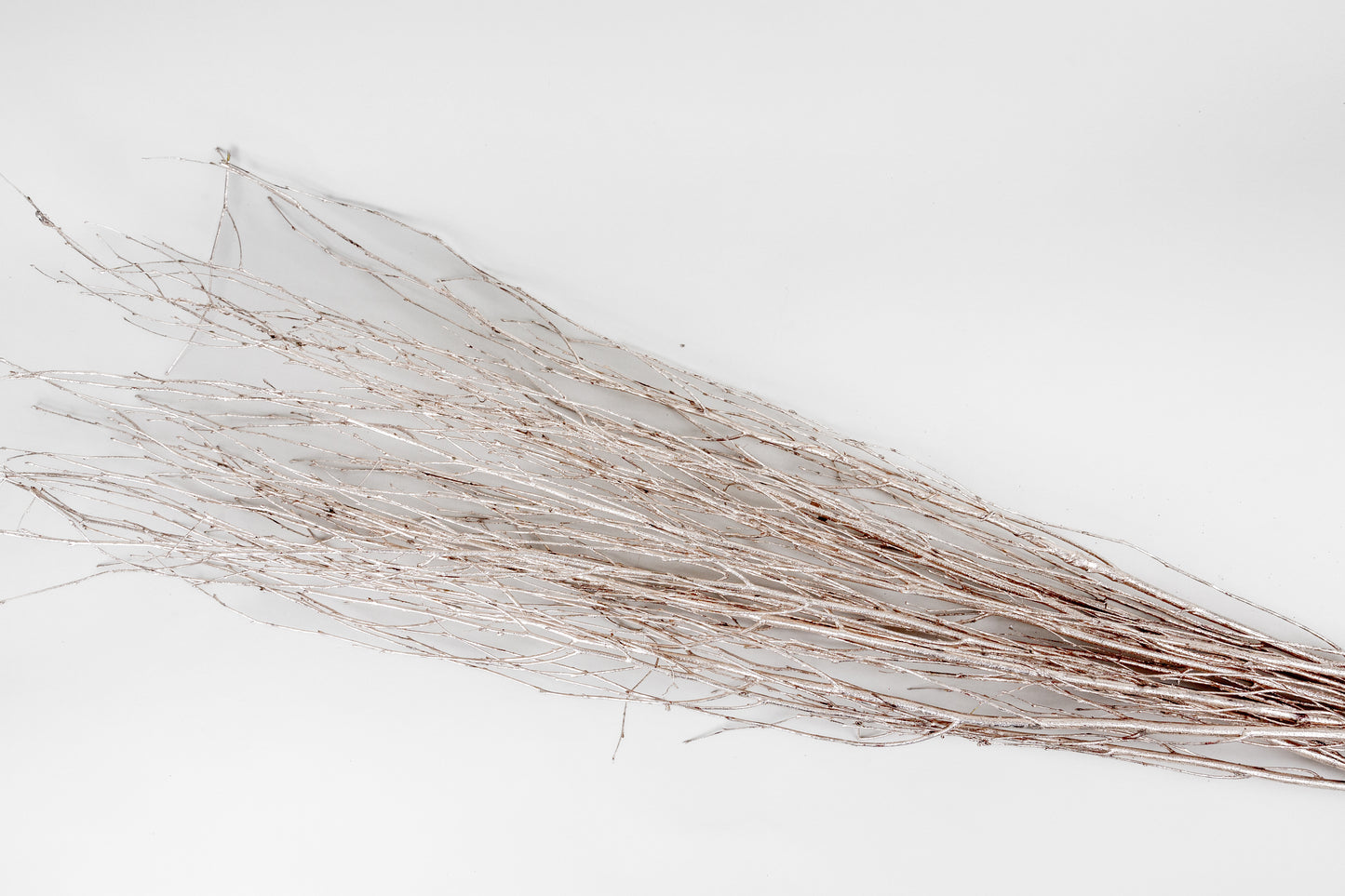 Birch Branches