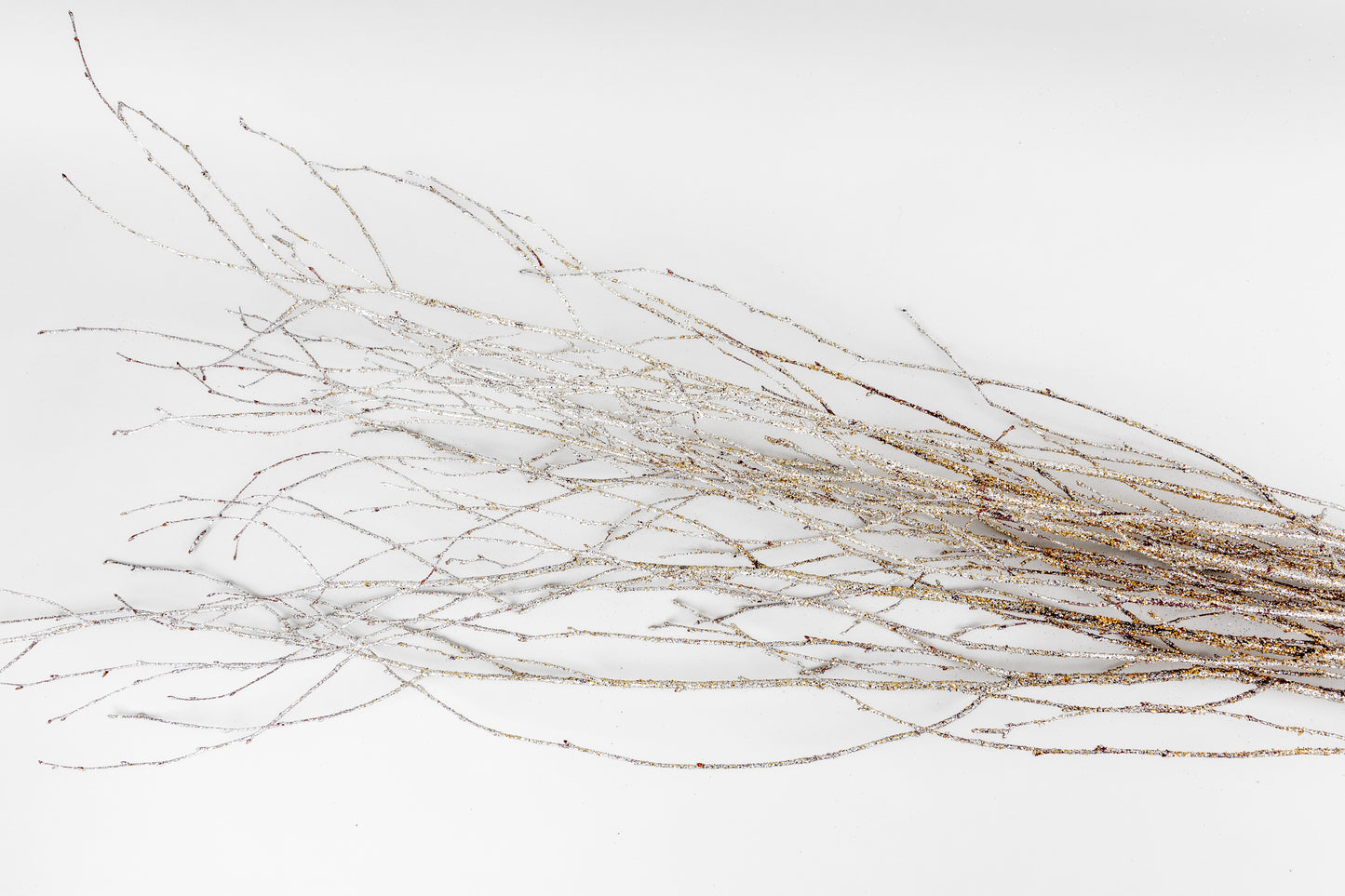 Birch Branches