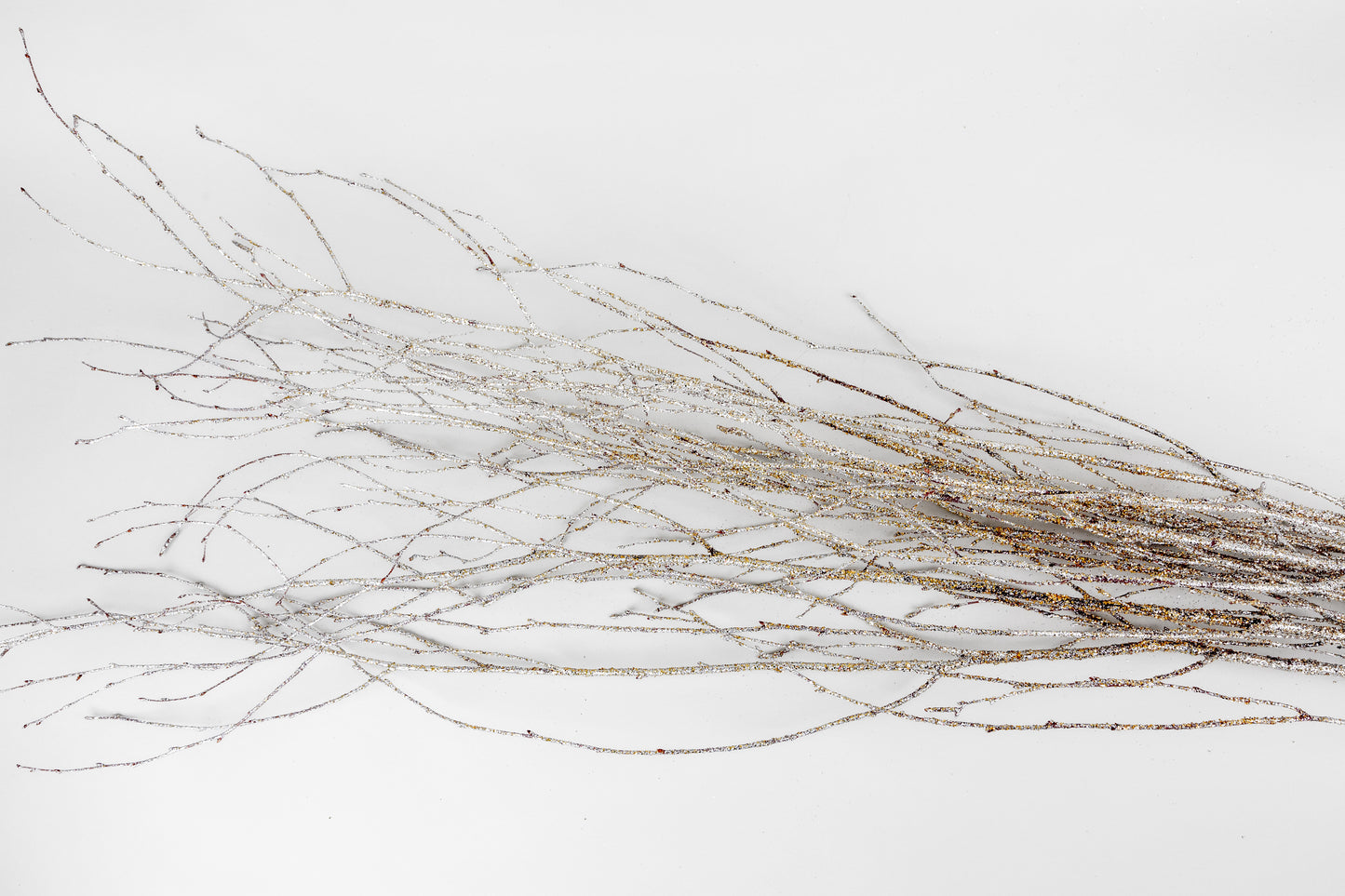 Birch Branches