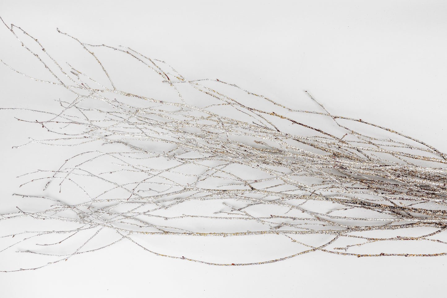 Birch Branches