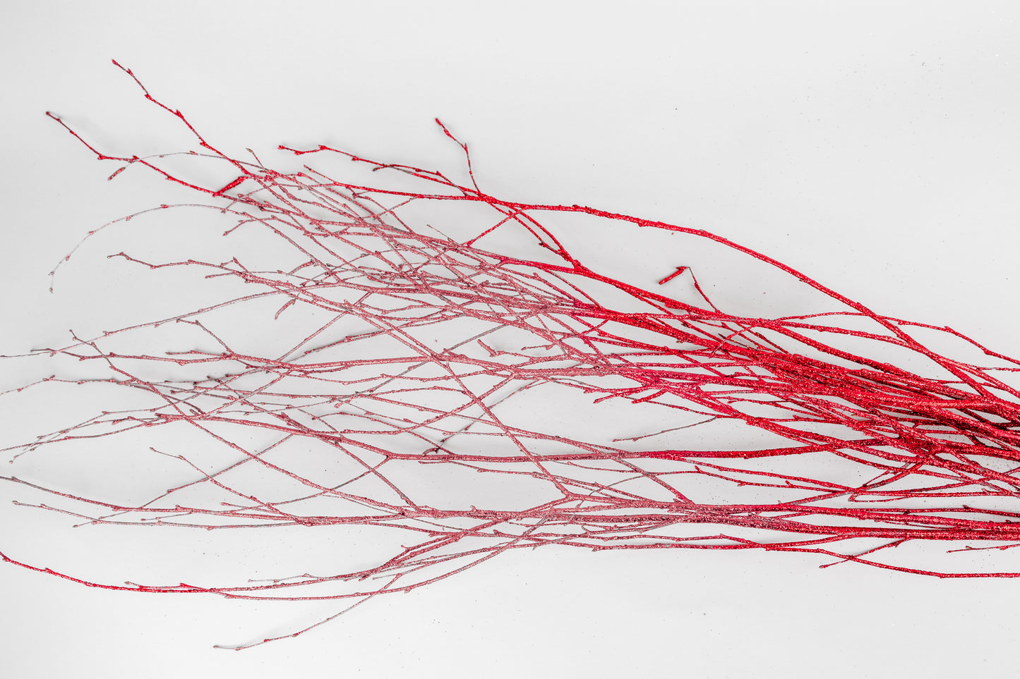Birch Branches