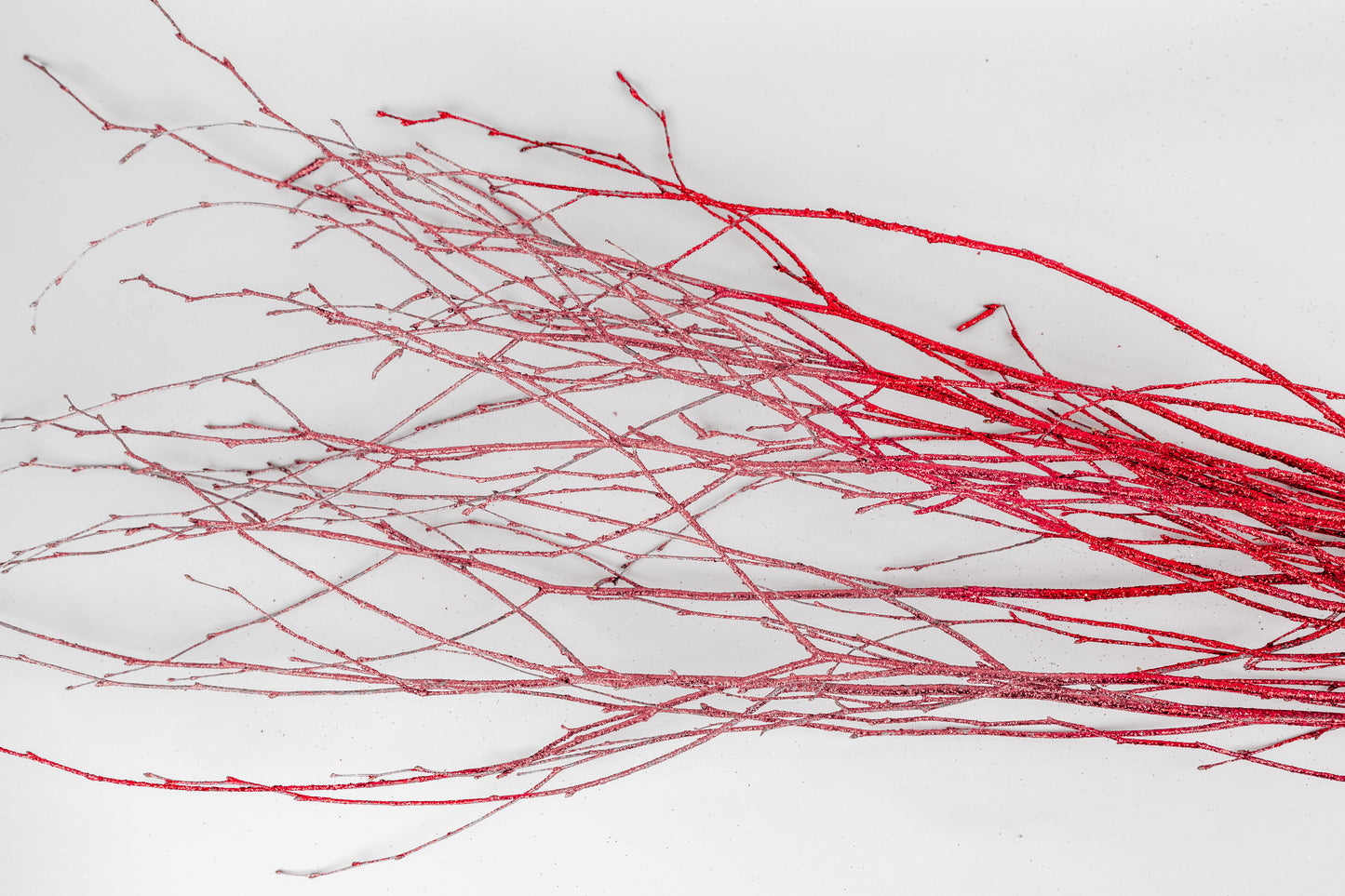 Birch Branches