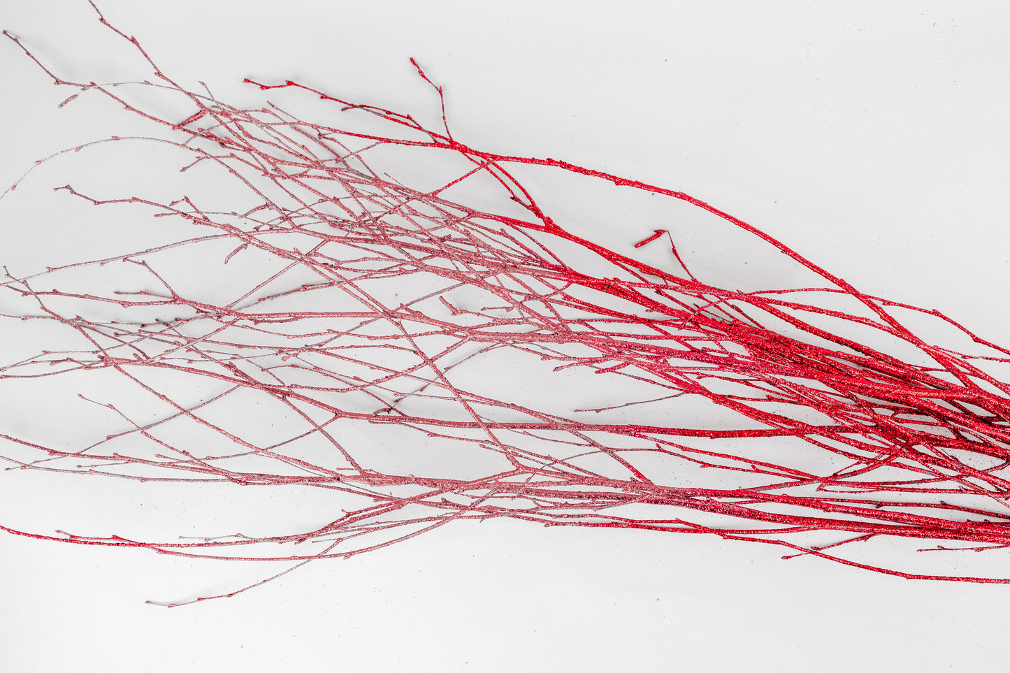 Birch Branches