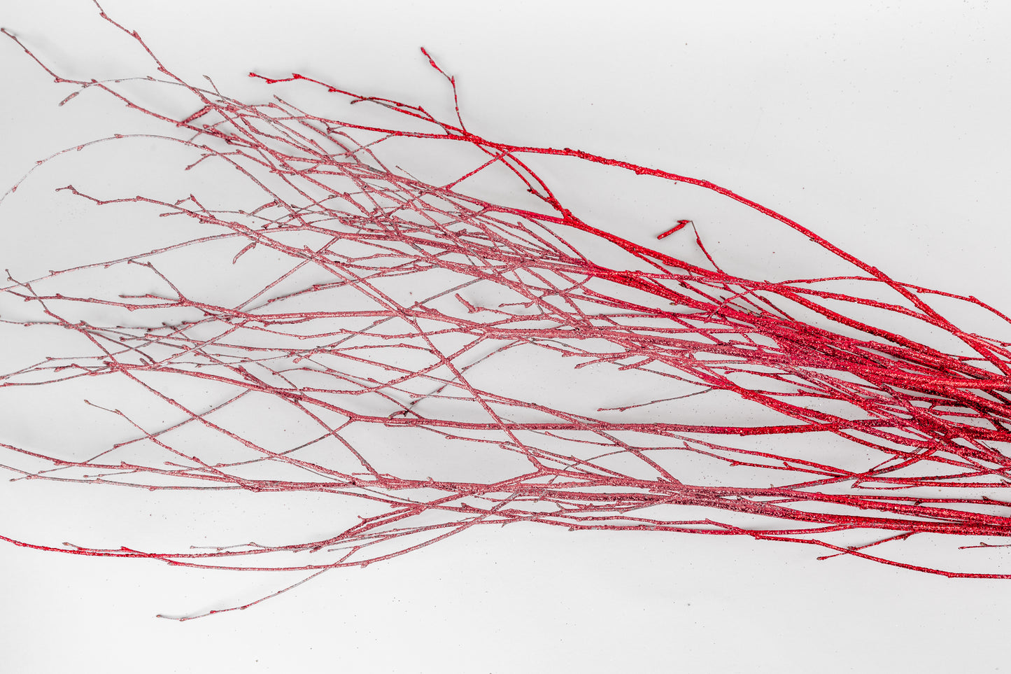 Birch Branches