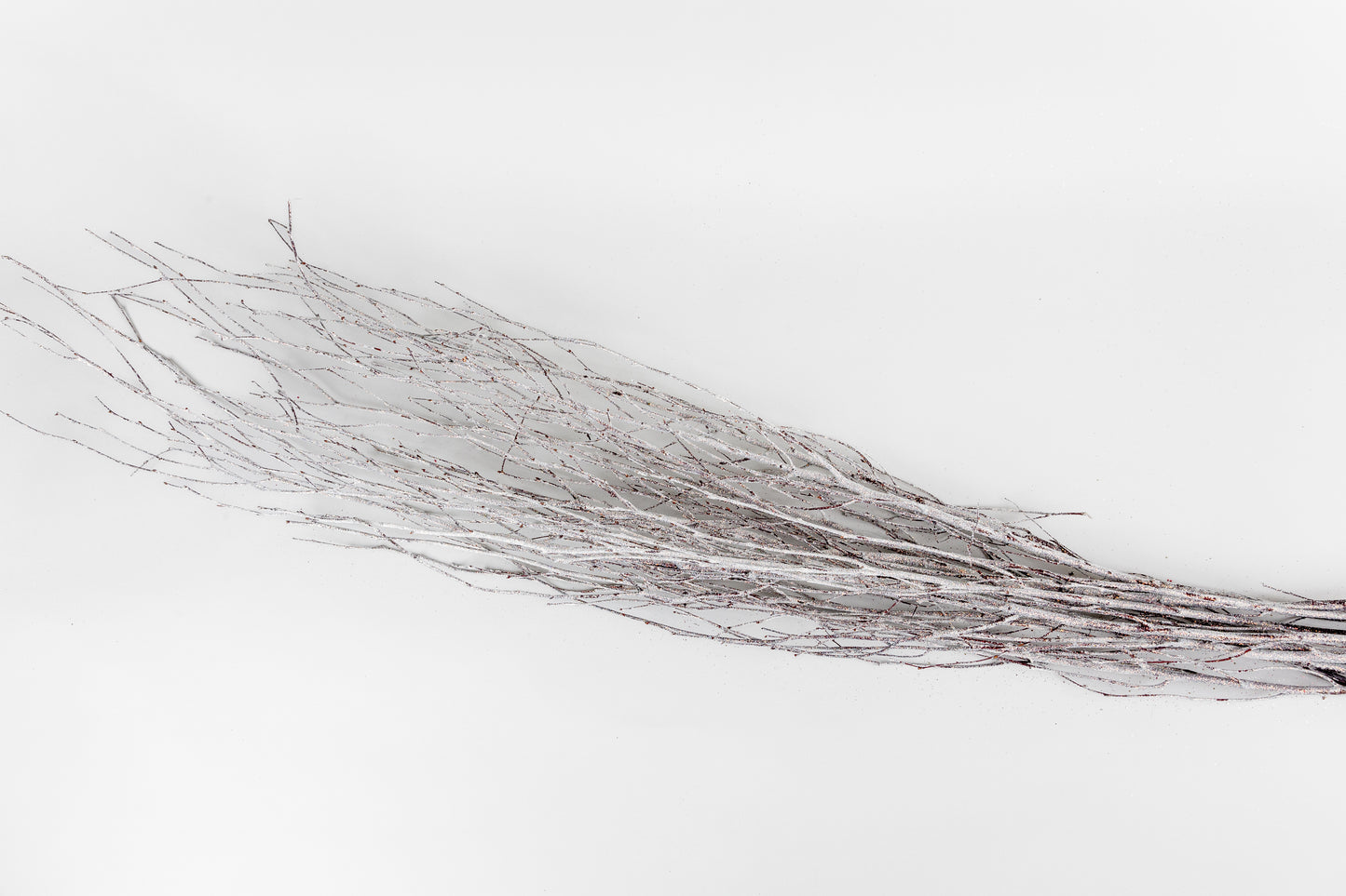 Birch Branches