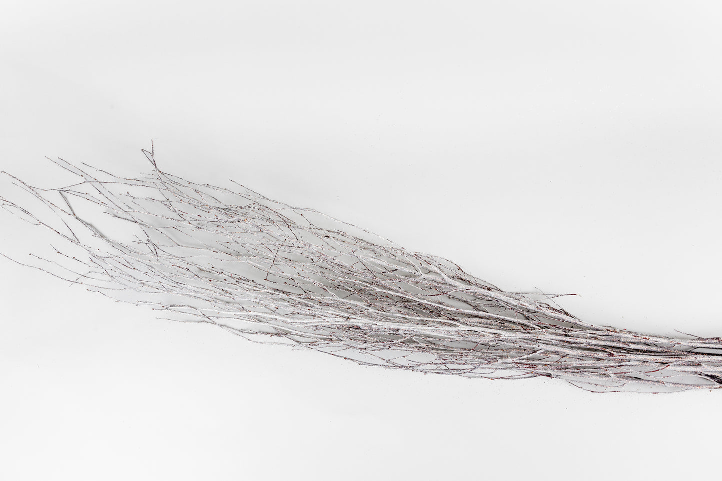 Birch Branches