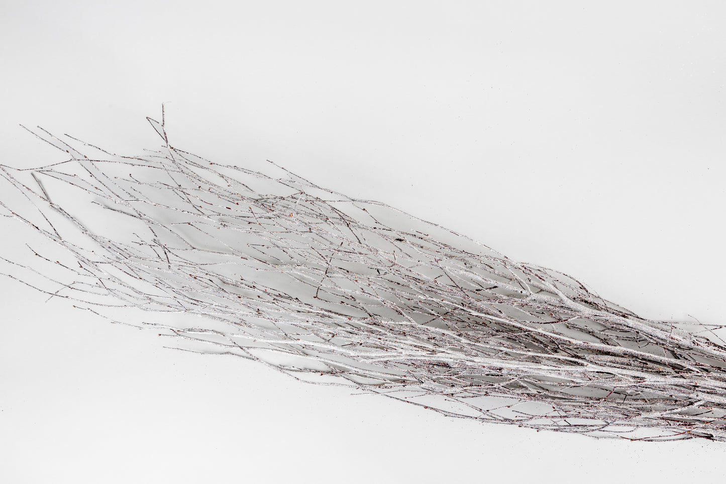 Birch Branches