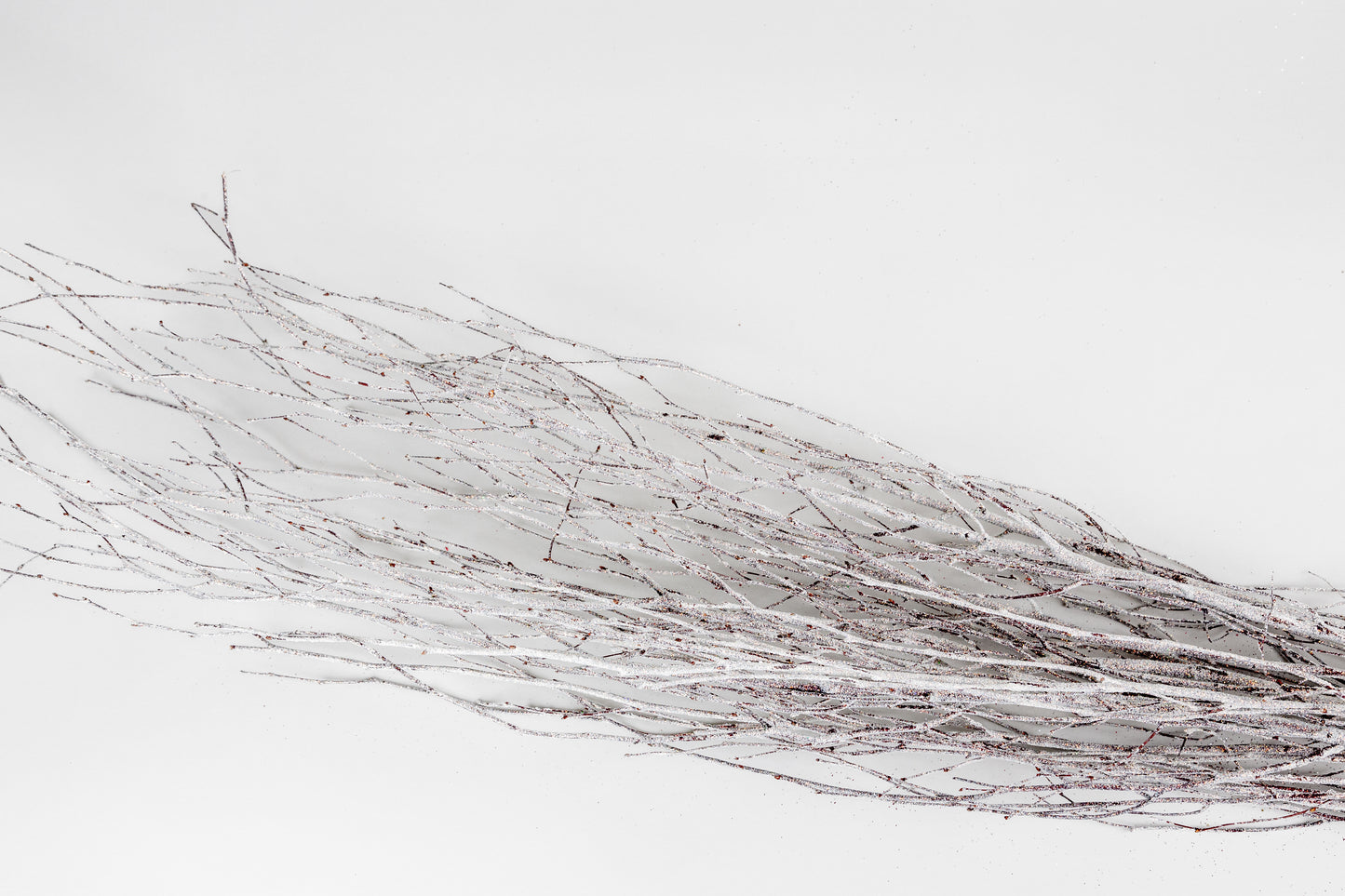 Birch Branches