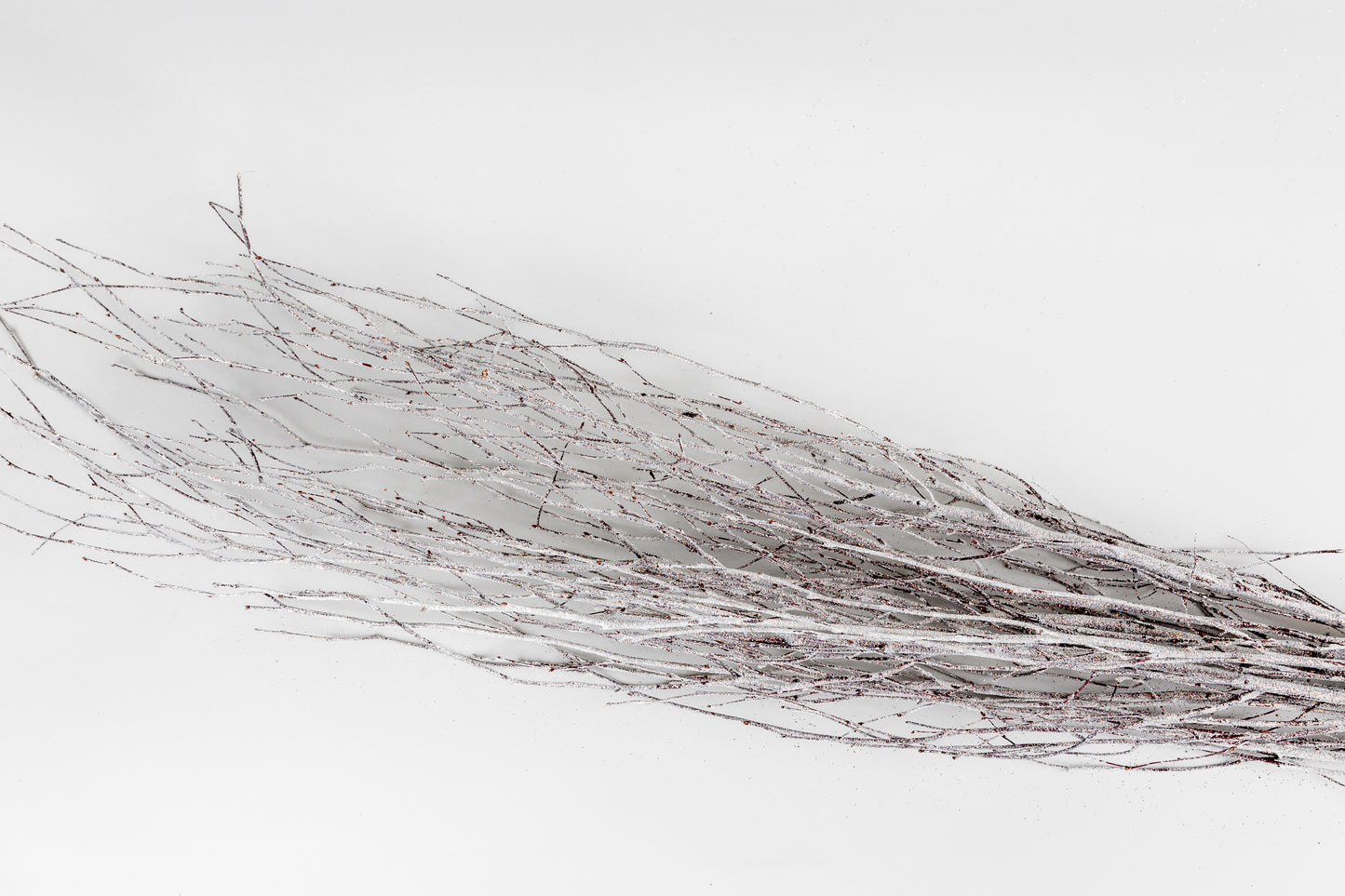 Birch Branches