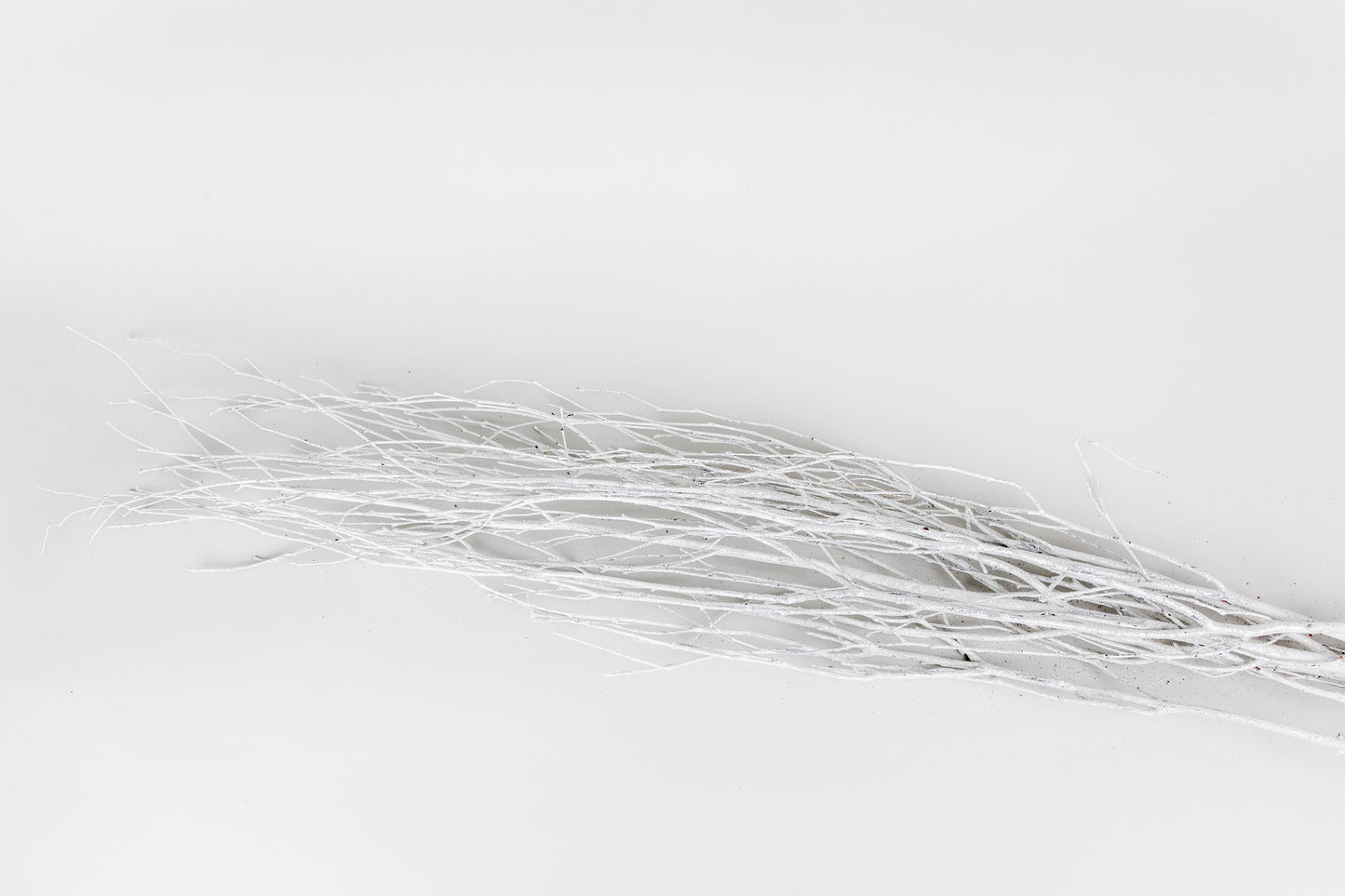 Birch Branches