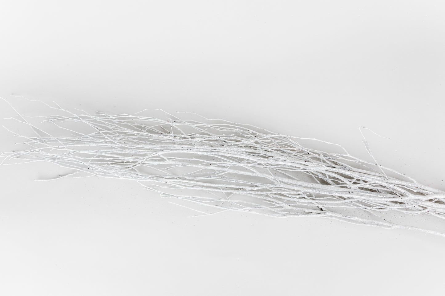 Birch Branches