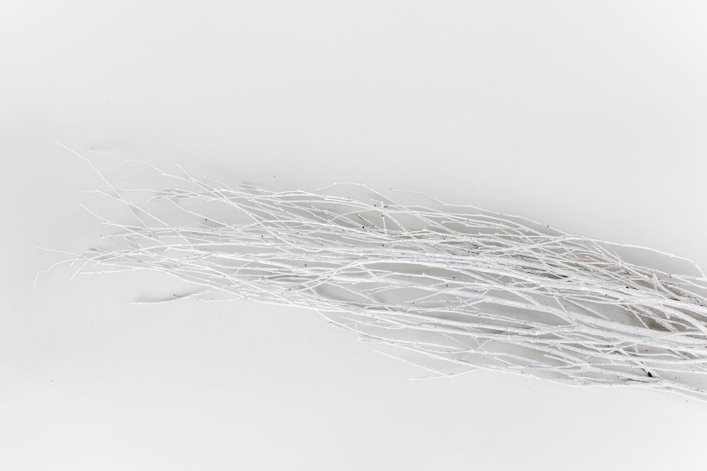 Birch Branches