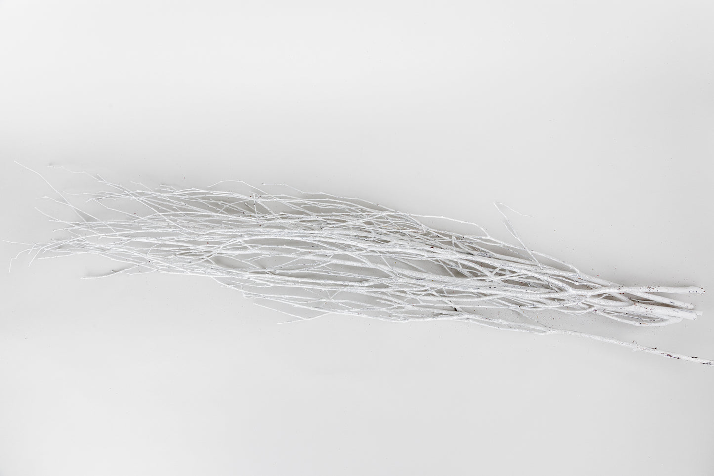 Birch Branches