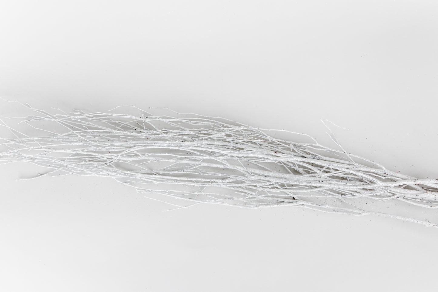 Birch Branches