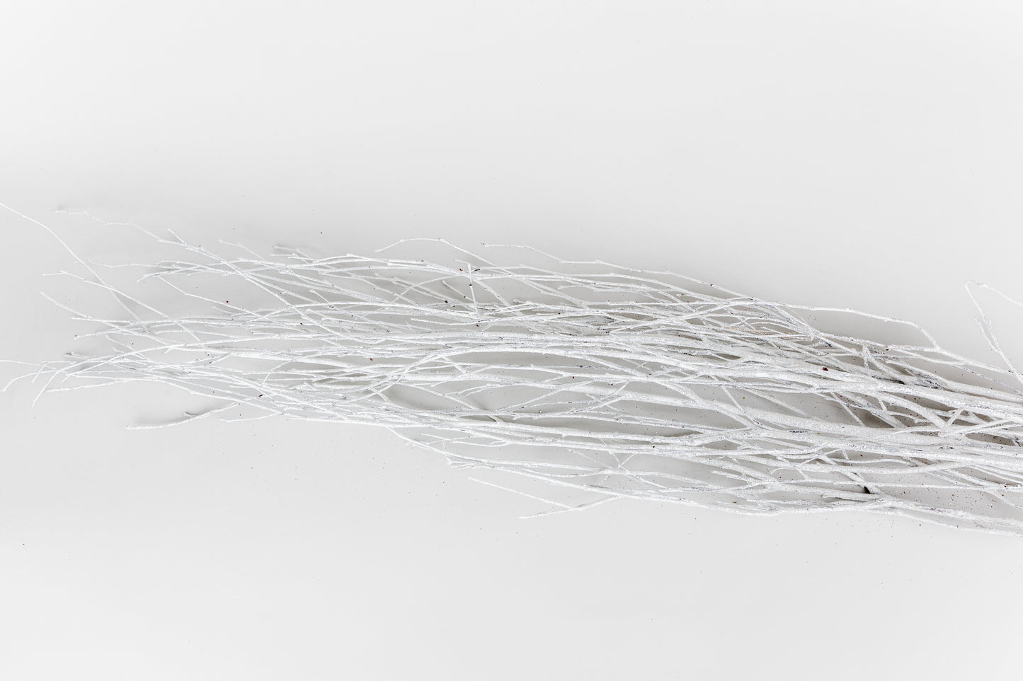 Birch Branches