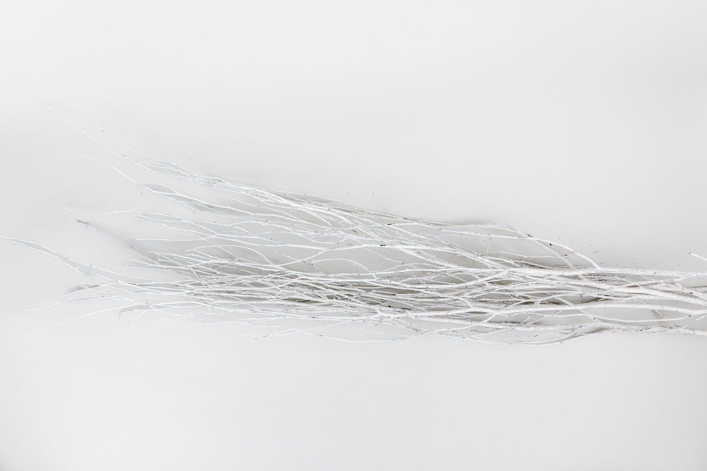 Birch Branches