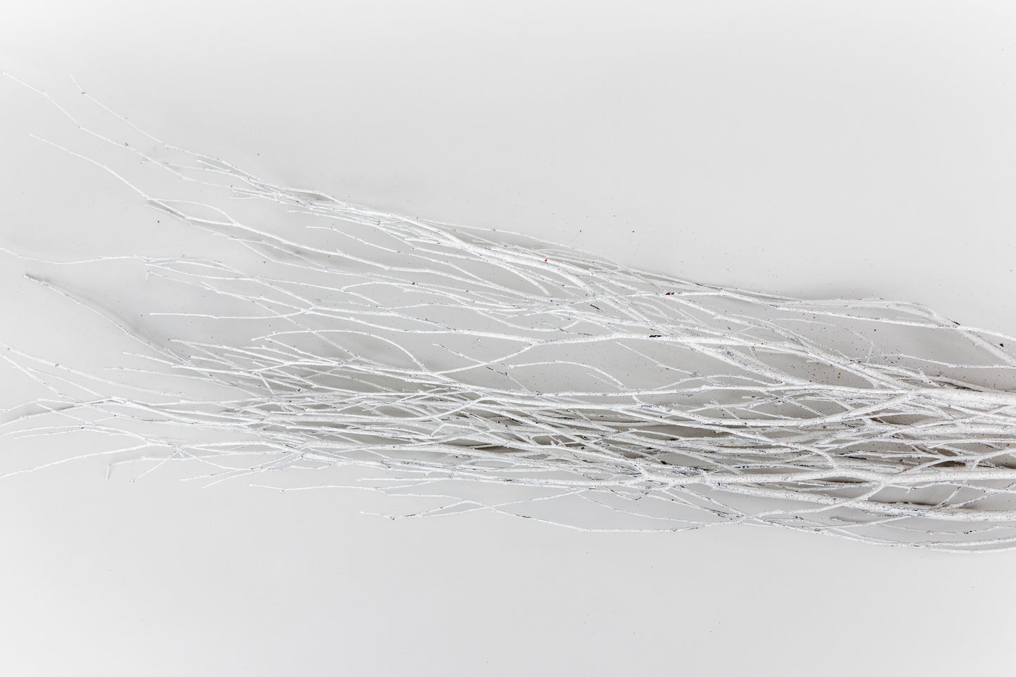 Birch Branches