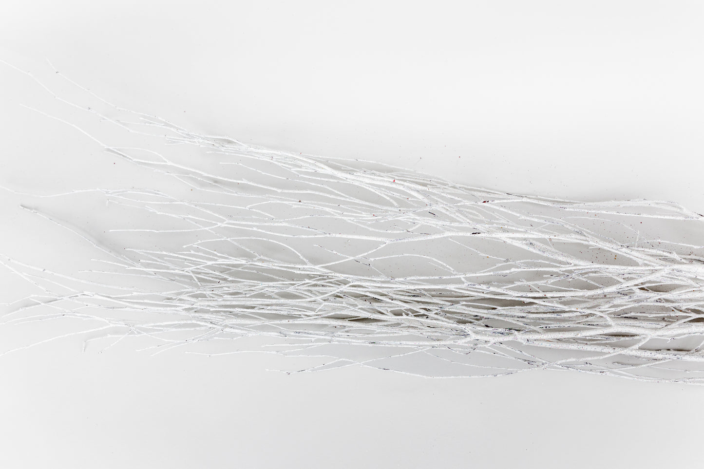 Birch Branches