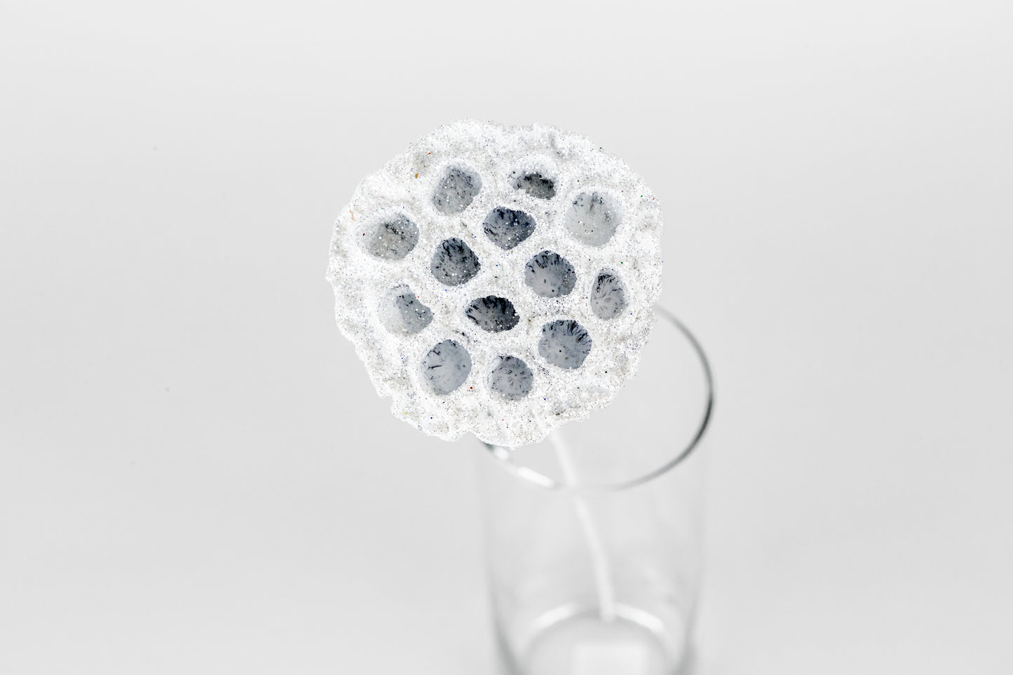 Lotus Pods 3-4" On a Pick