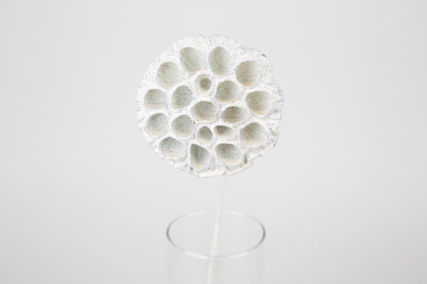 Lotus Pods 3-4" On a Pick