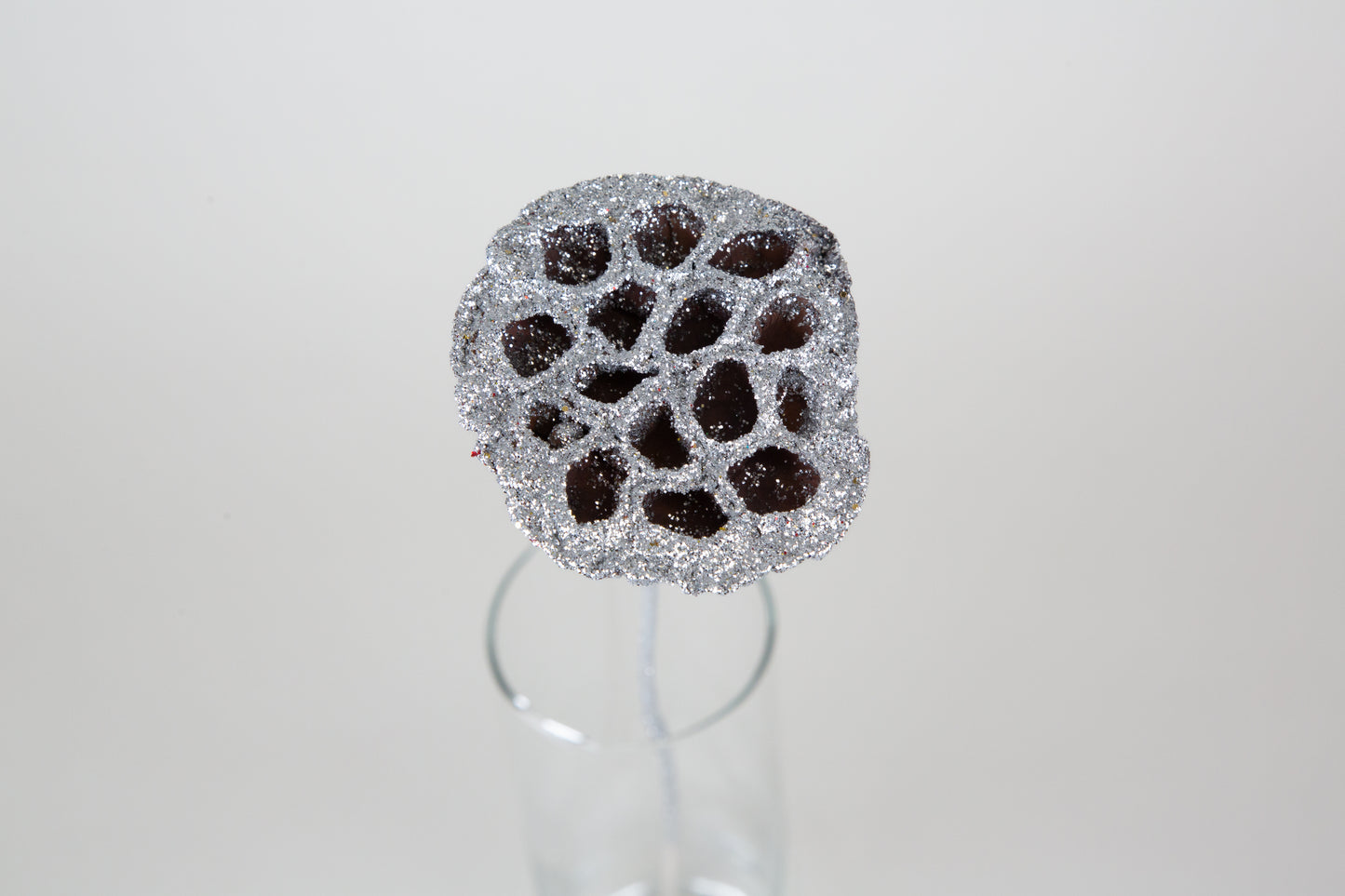Lotus Pods 3-4" On a Pick