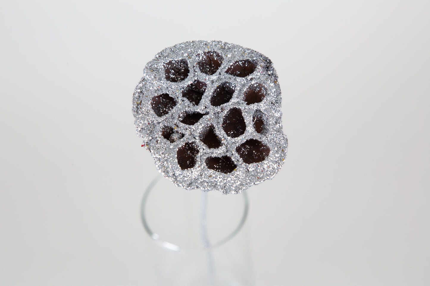 Lotus Pods 3-4" On a Pick