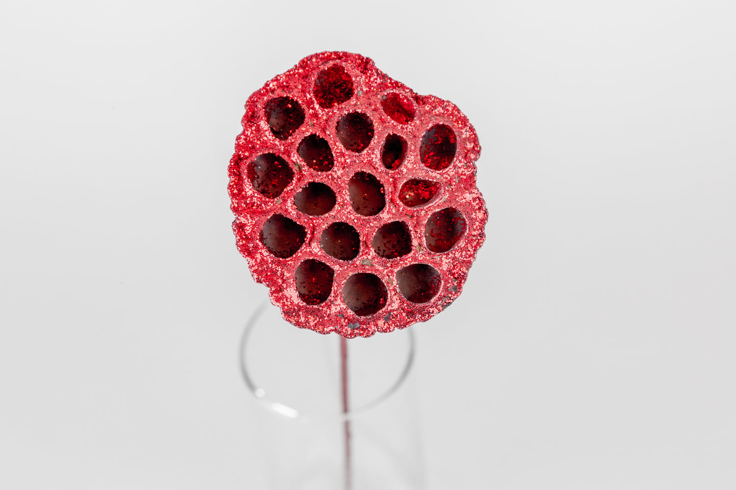 Lotus Pods 3-4" On a Pick