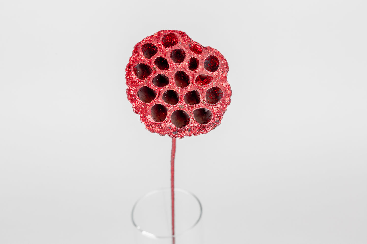 Lotus Pods 3-4" On a Pick
