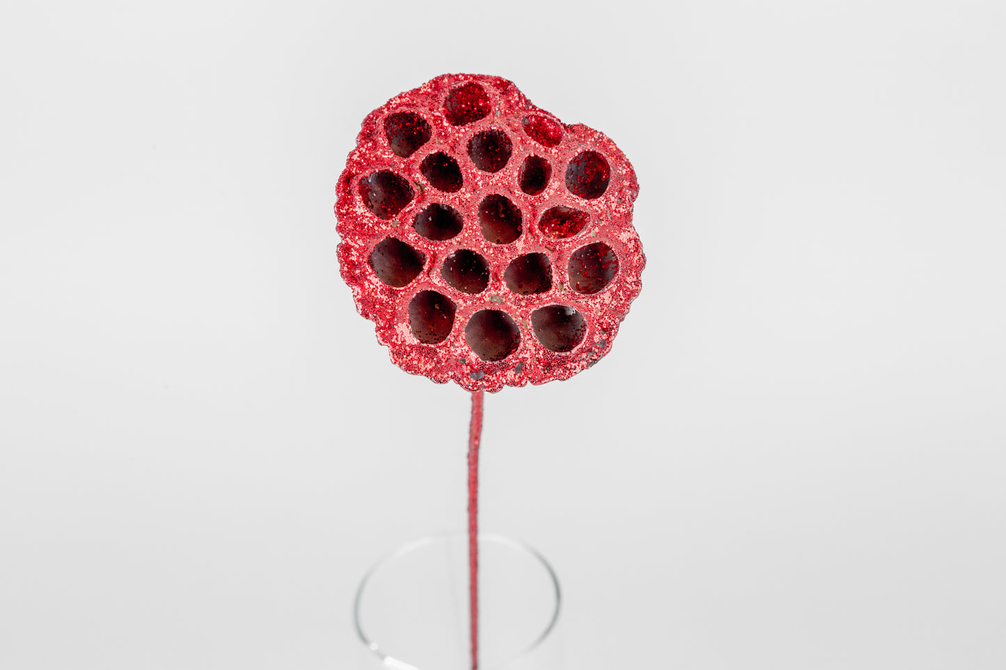 Lotus Pods 3-4" On a Pick