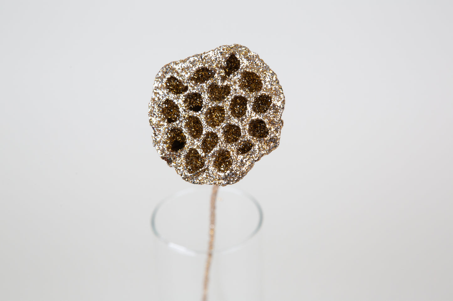 Lotus Pods 3-4" On a Pick