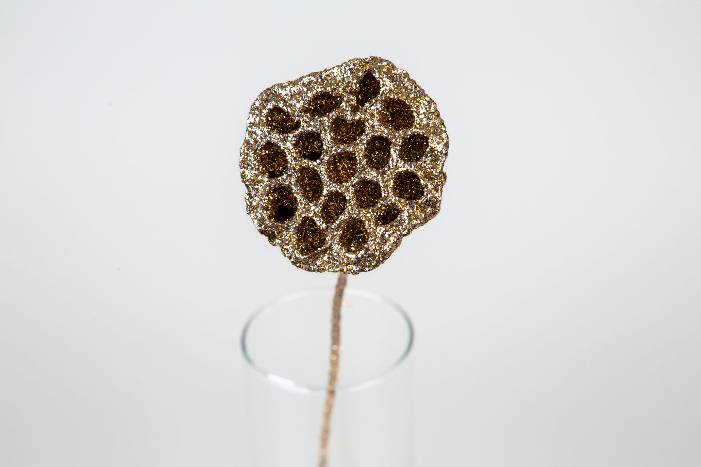 Lotus Pods 3-4" On a Pick