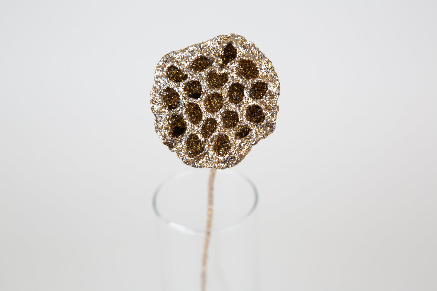 Lotus Pods 3-4" On a Pick