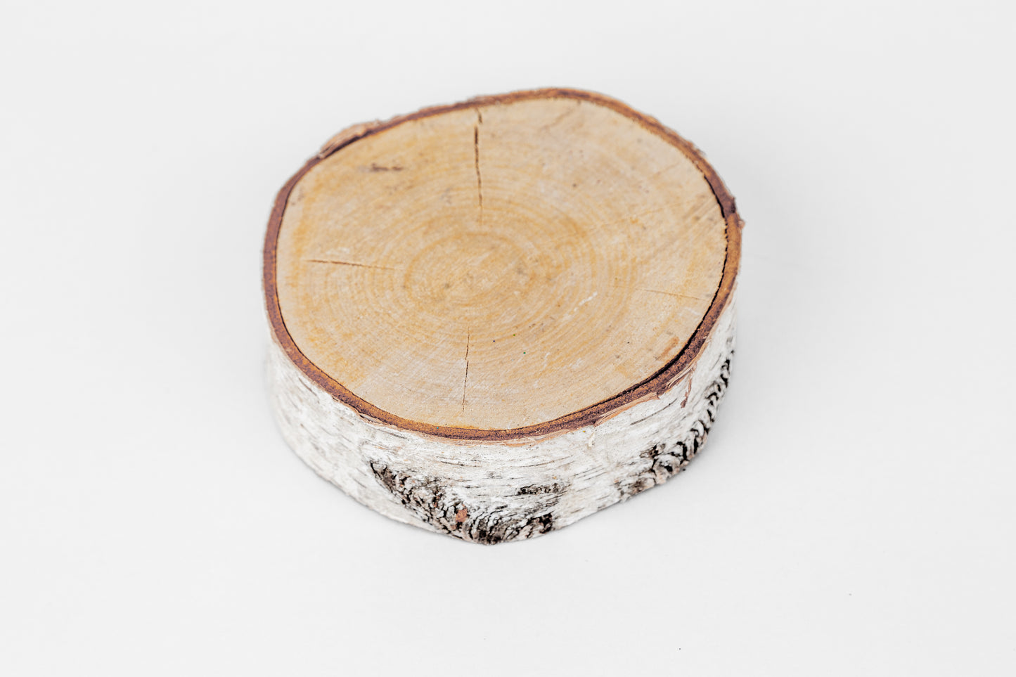 Birch Slices (Discs) - 1 Pcs
